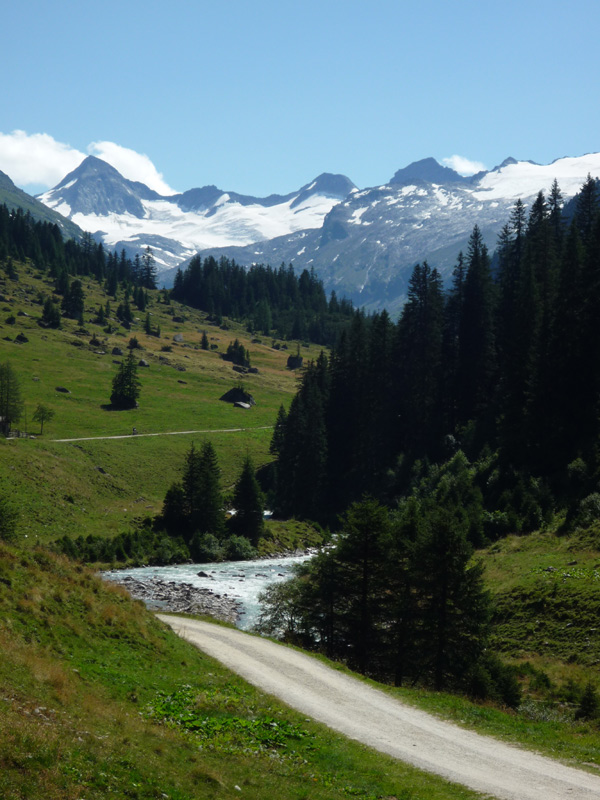 Die Aussicht von der Berndlalm. Der Große Geiger und sein Gletscher.